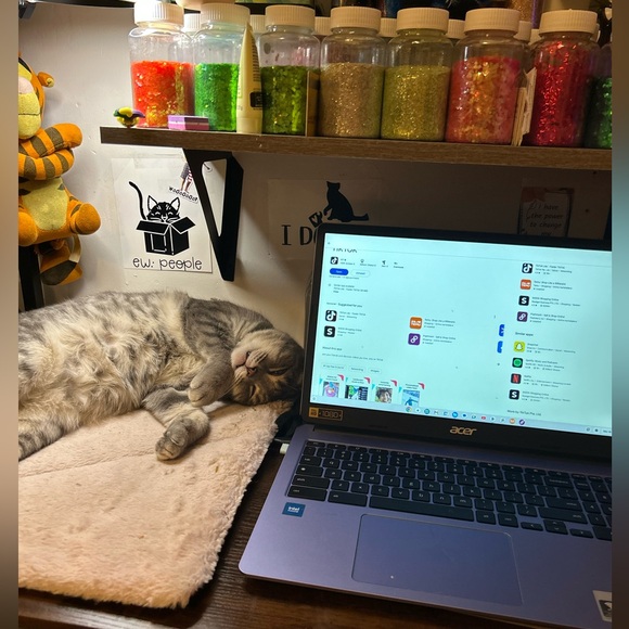 Midweek dinner party - Picture 6 of 9